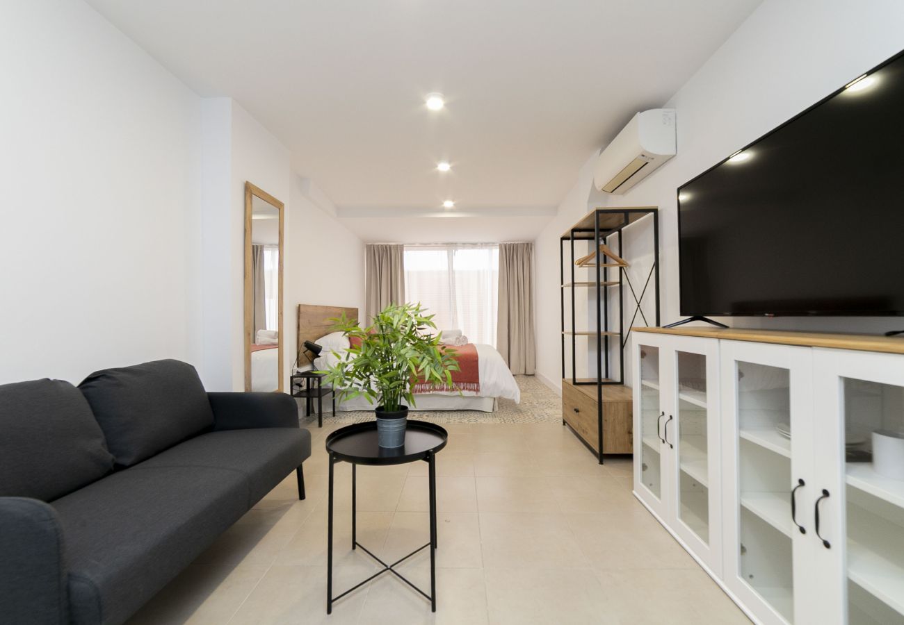 Estudio en Madrid - Regency VIII - Ferga Suites