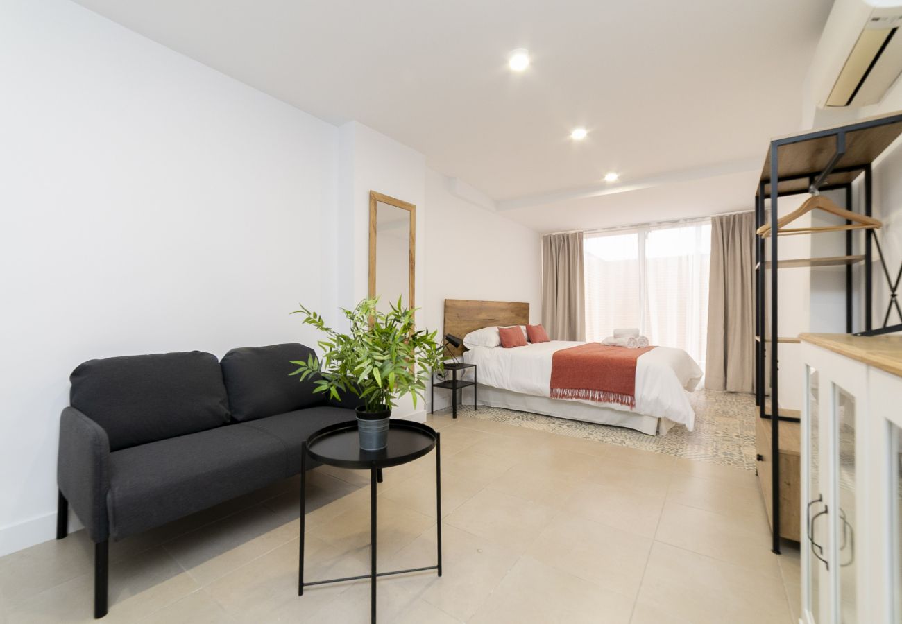 Estudio en Madrid - Regency VIII - Ferga Suites