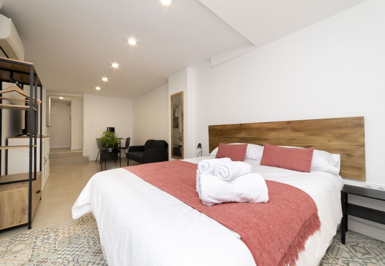 Estudio en Madrid - Regency VIII - Ferga Suites
