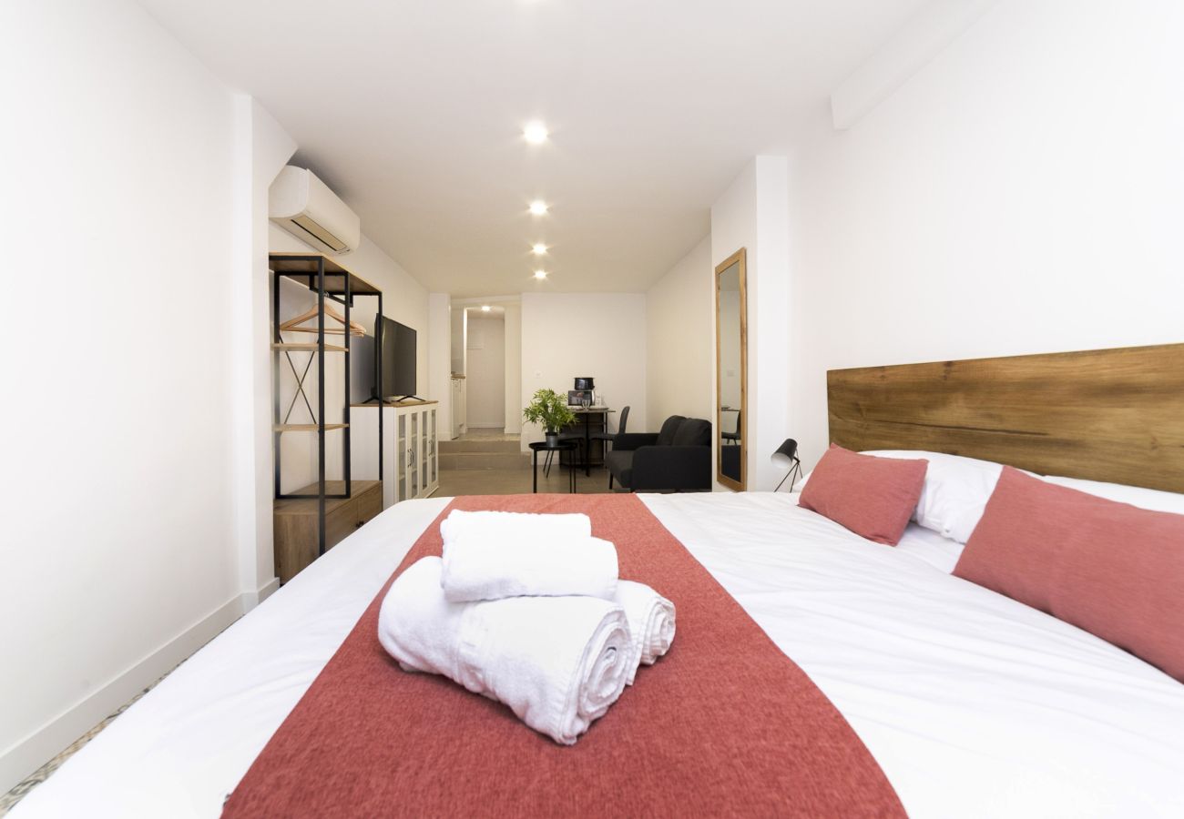 Estudio en Madrid - Regency VIII - Ferga Suites