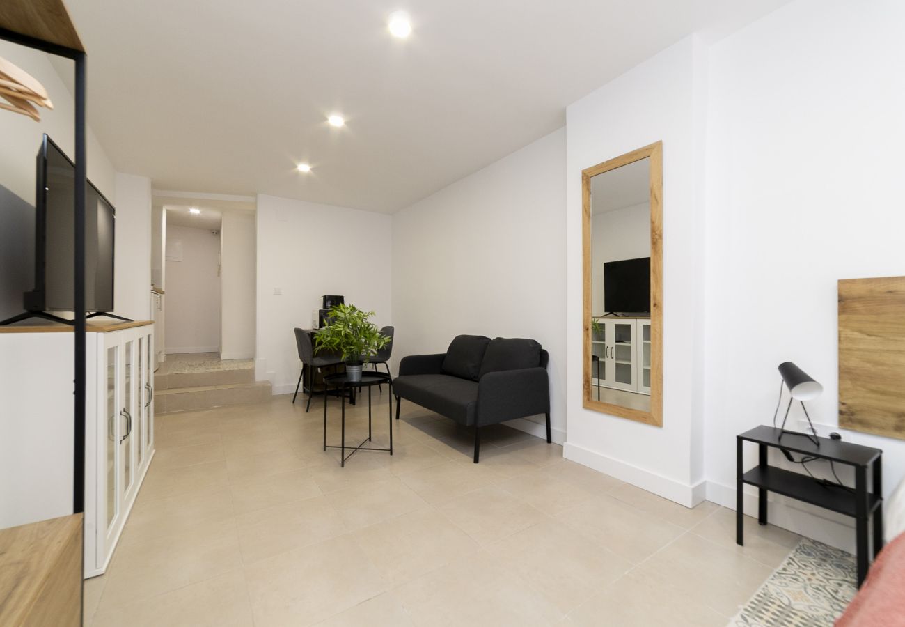Estudio en Madrid - Regency VIII - Ferga Suites