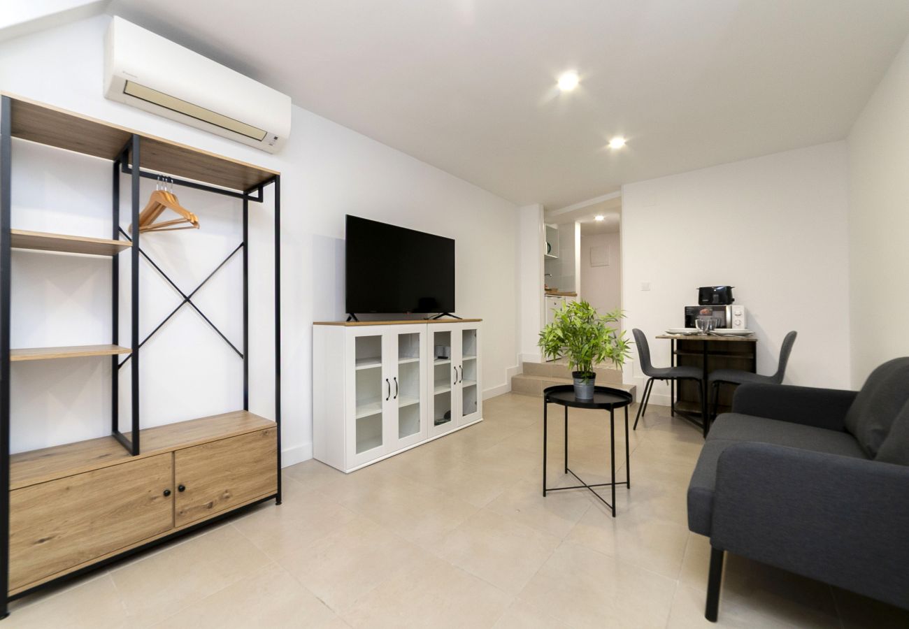 Estudio en Madrid - Regency VIII - Ferga Suites