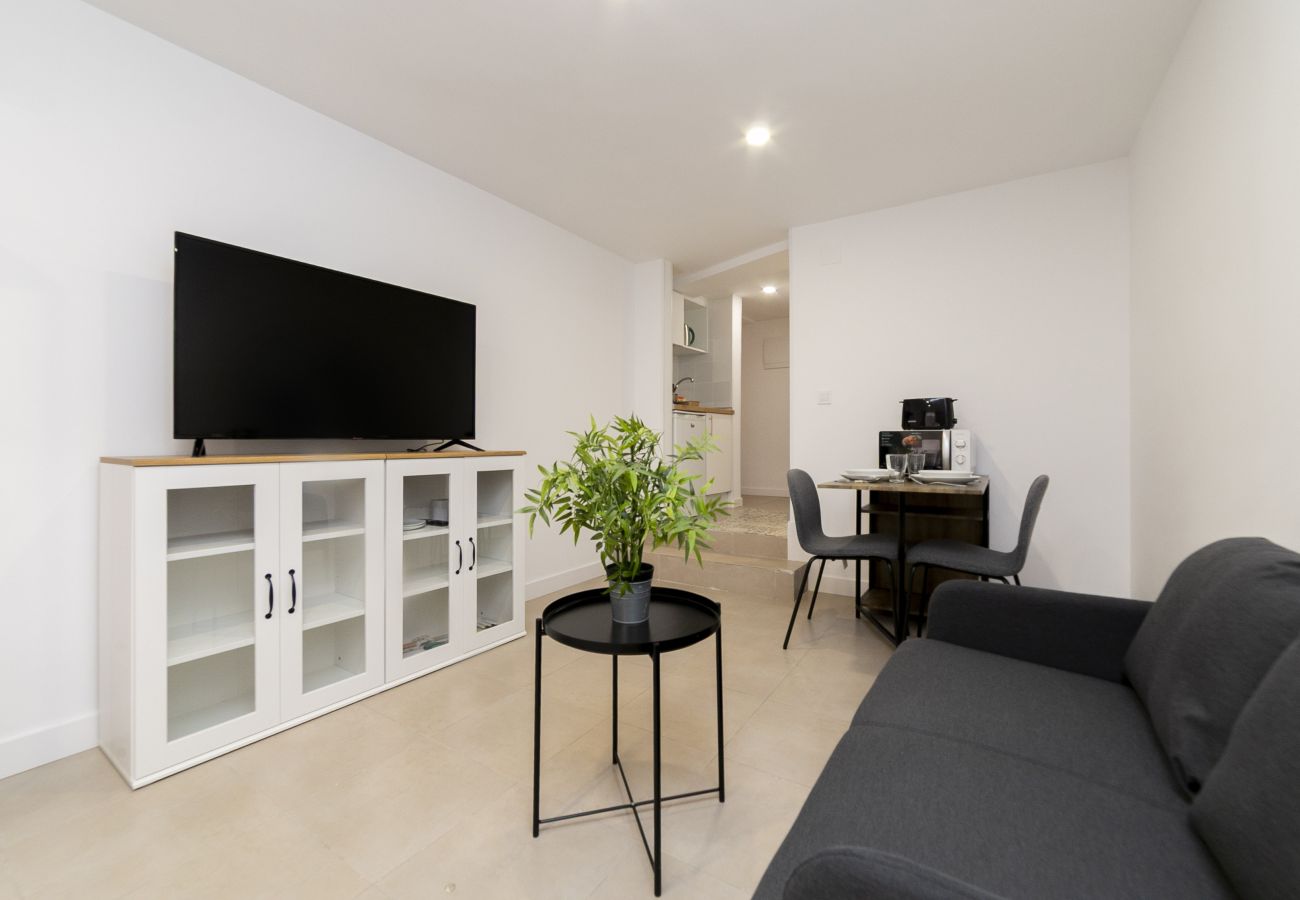 Estudio en Madrid - Regency VIII - Ferga Suites