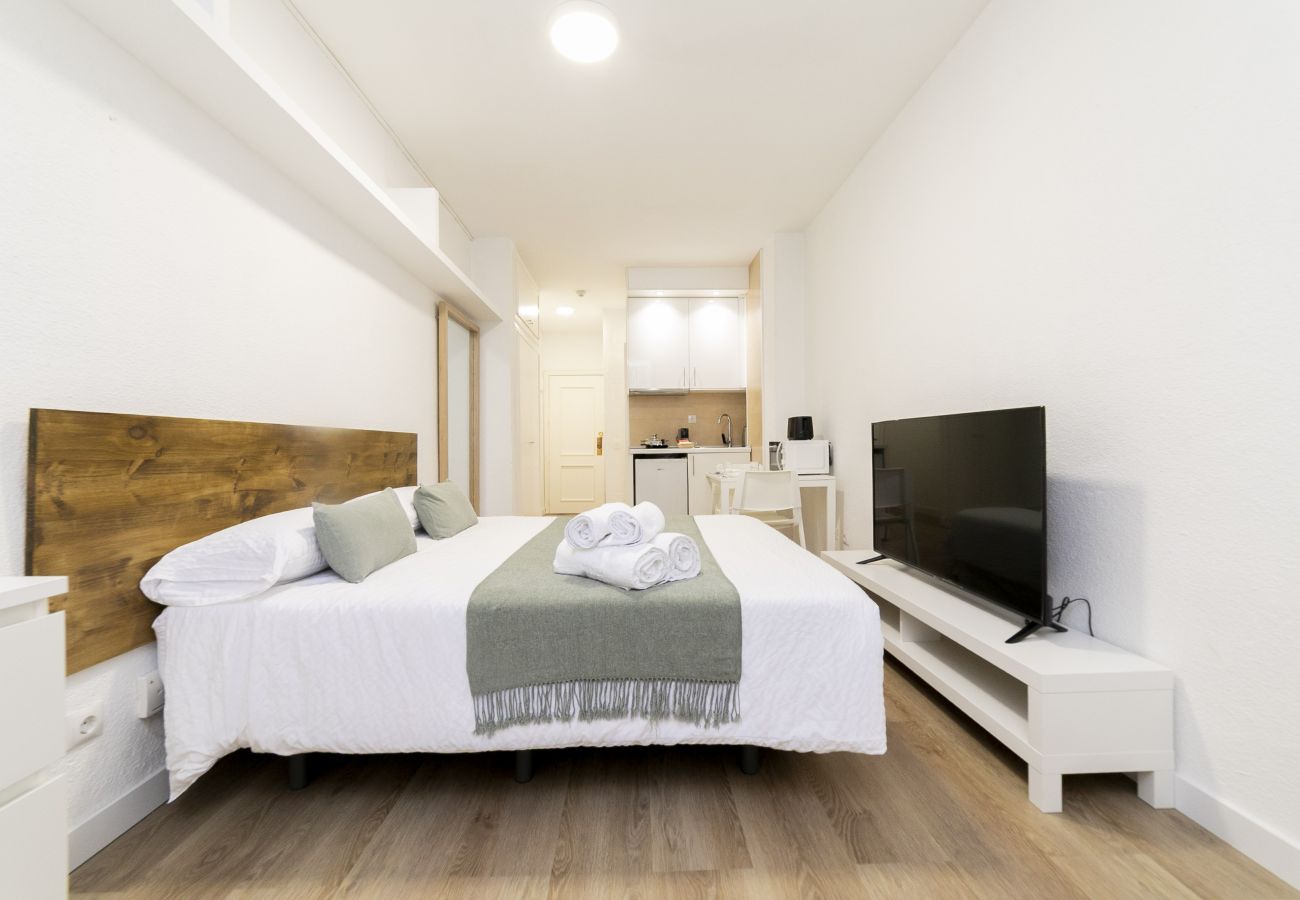 Estudio en Madrid - Luxury XV - Ferga Suites