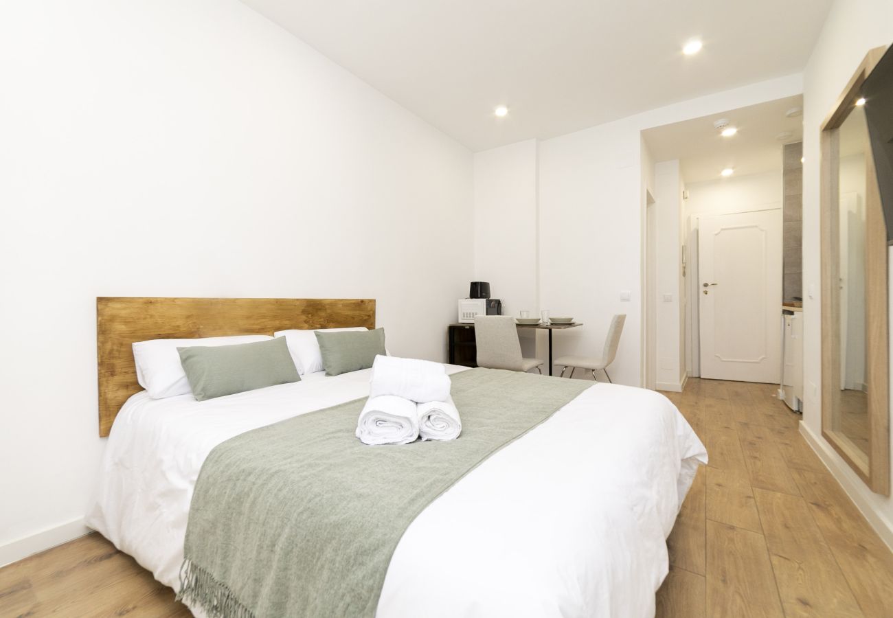 Estudio en Madrid - Luxury III - Ferga Suites