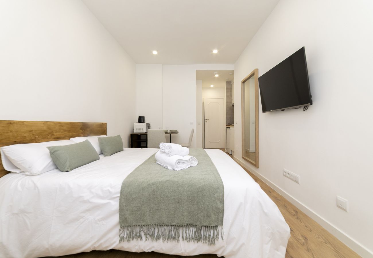 Estudio en Madrid - Luxury III - Ferga Suites