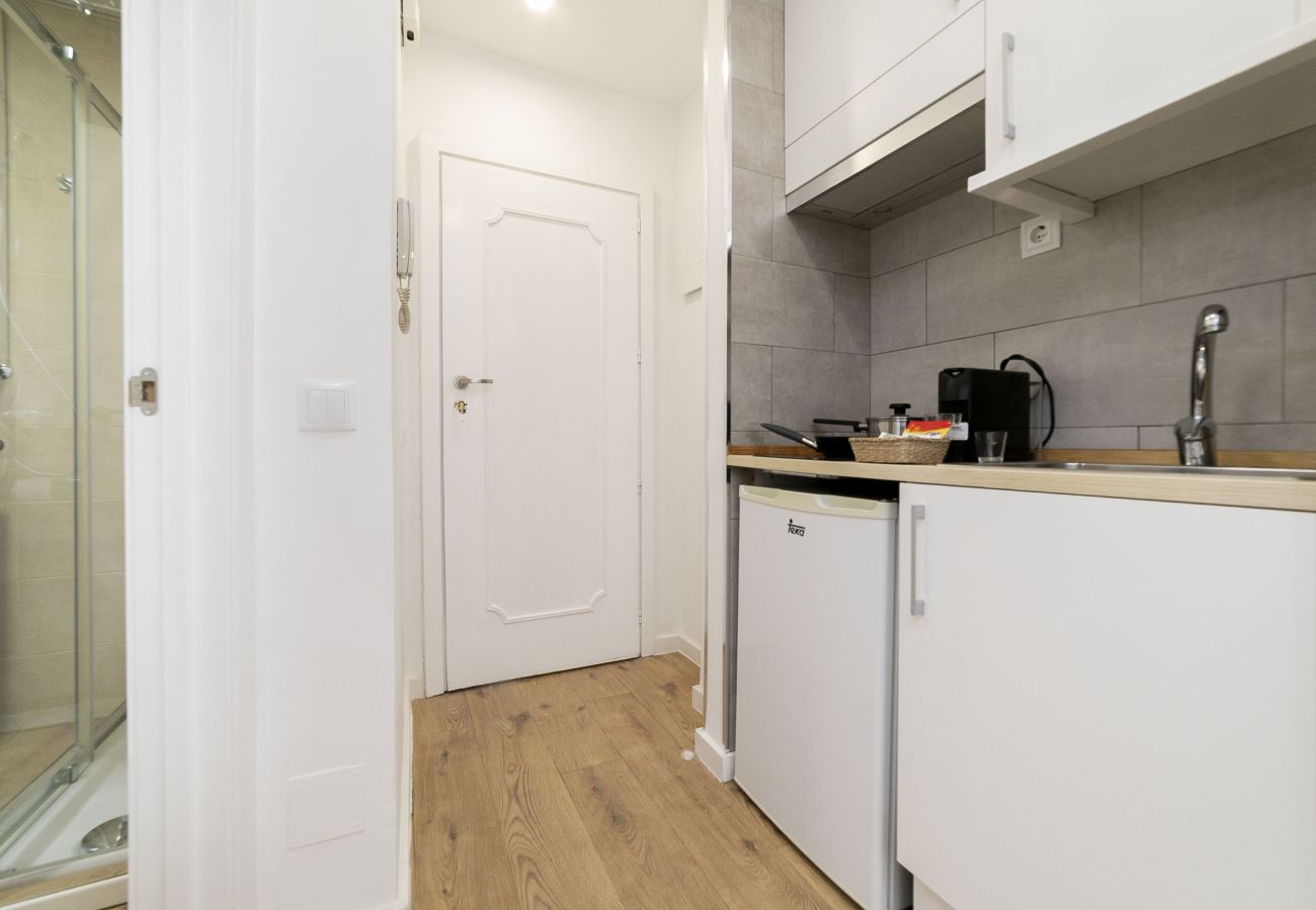 Estudio en Madrid - Luxury III - Ferga Suites