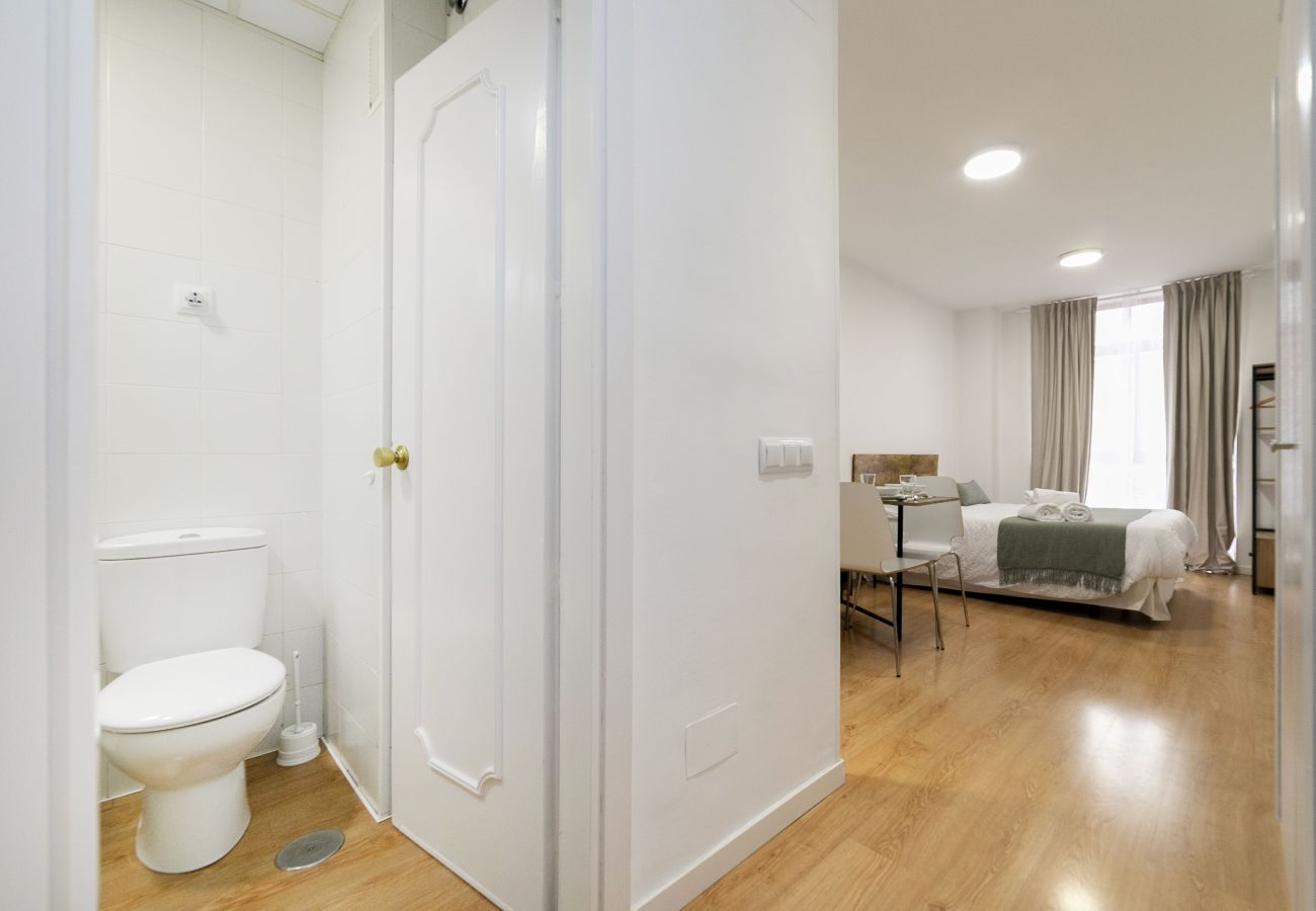 Estudio en Madrid - Luxury IV - Ferga Suites