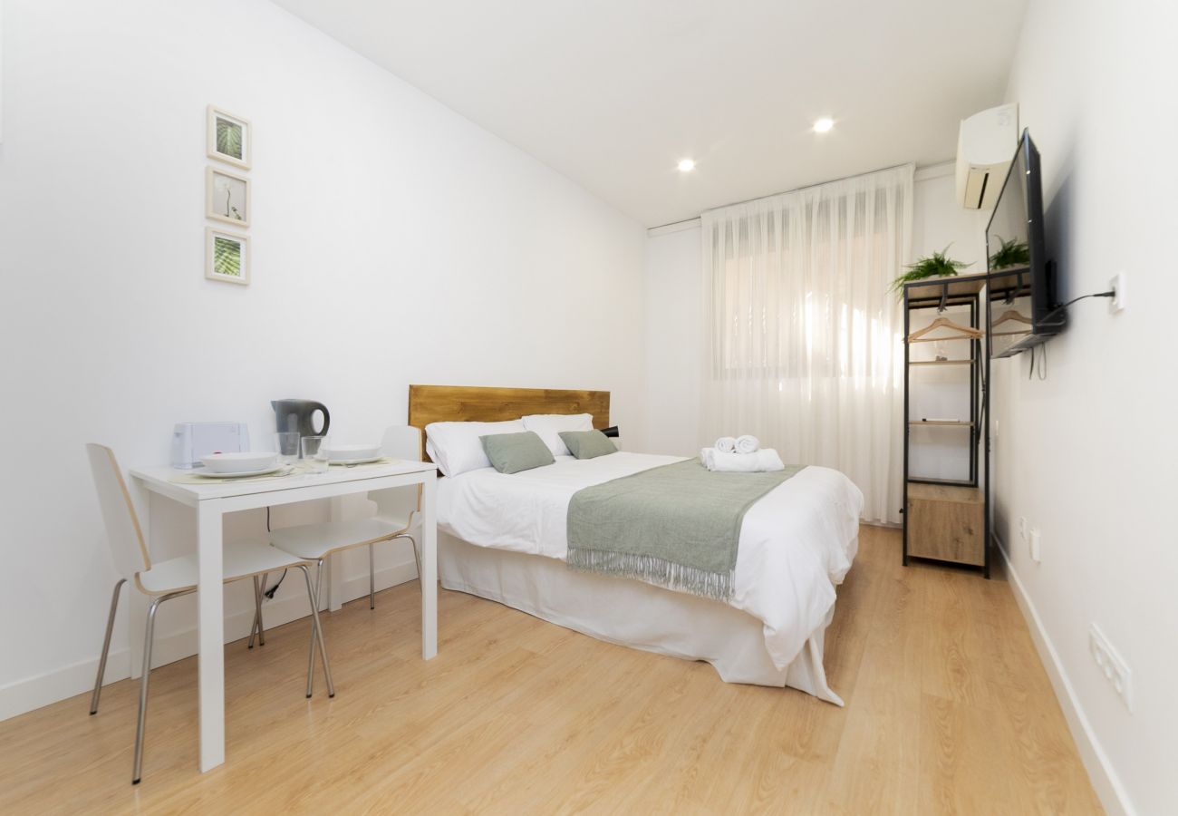 Estudio en Madrid - Luxury II - Ferga Suites