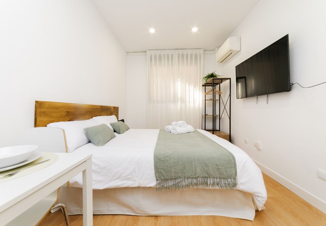 Estudio en Madrid - Luxury II - Ferga Suites