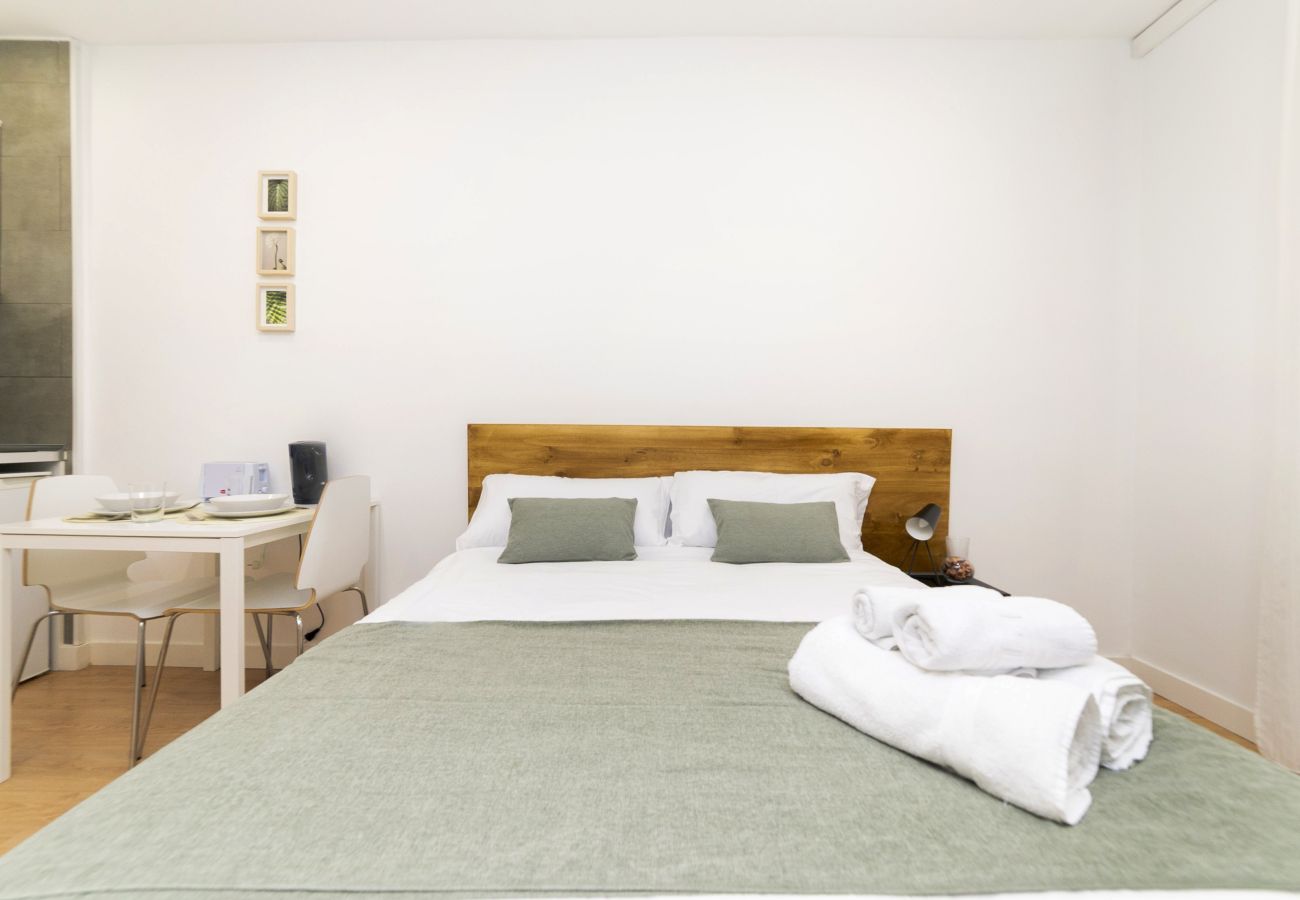 Estudio en Madrid - Luxury II - Ferga Suites