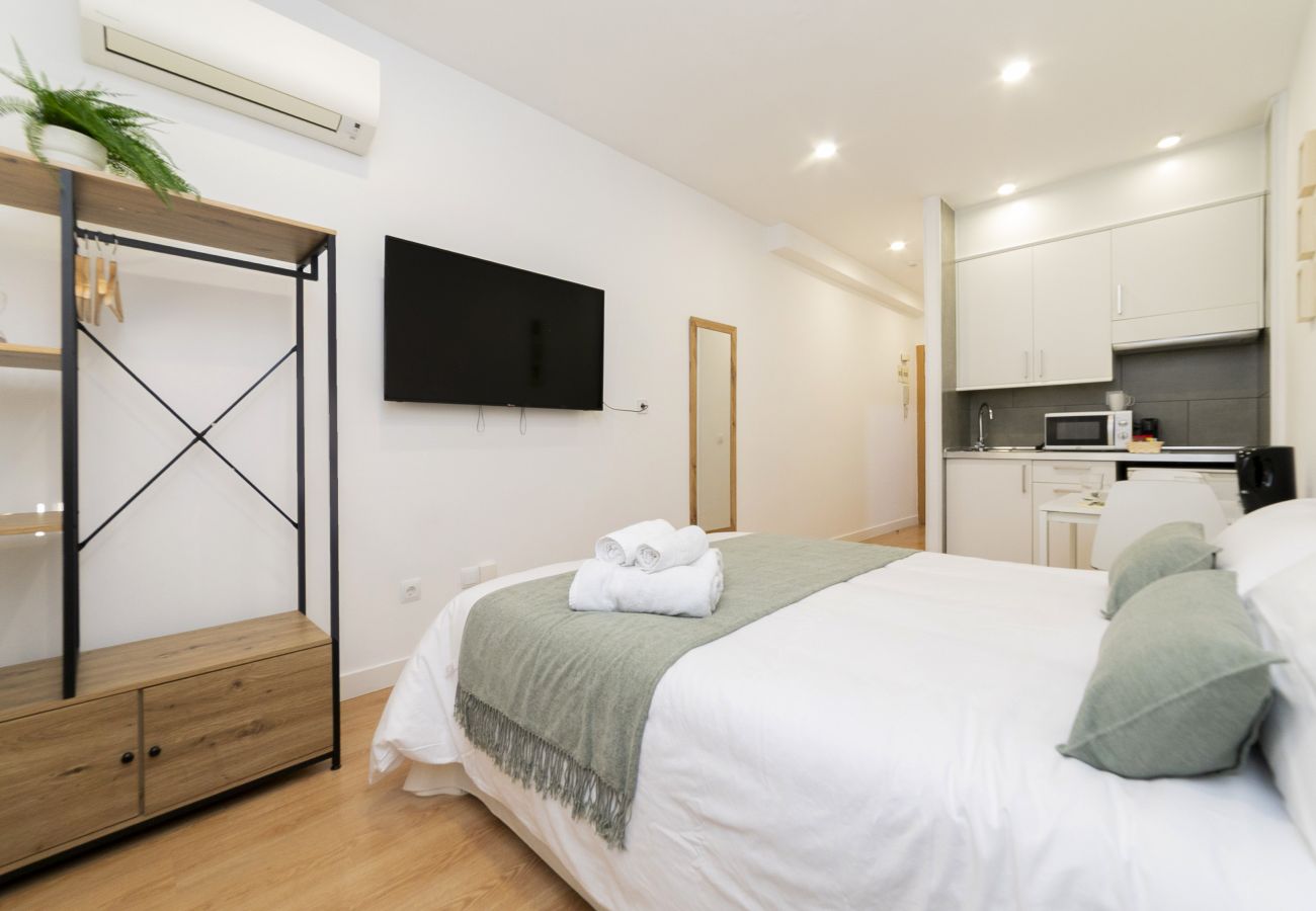 Estudio en Madrid - Luxury II - Ferga Suites