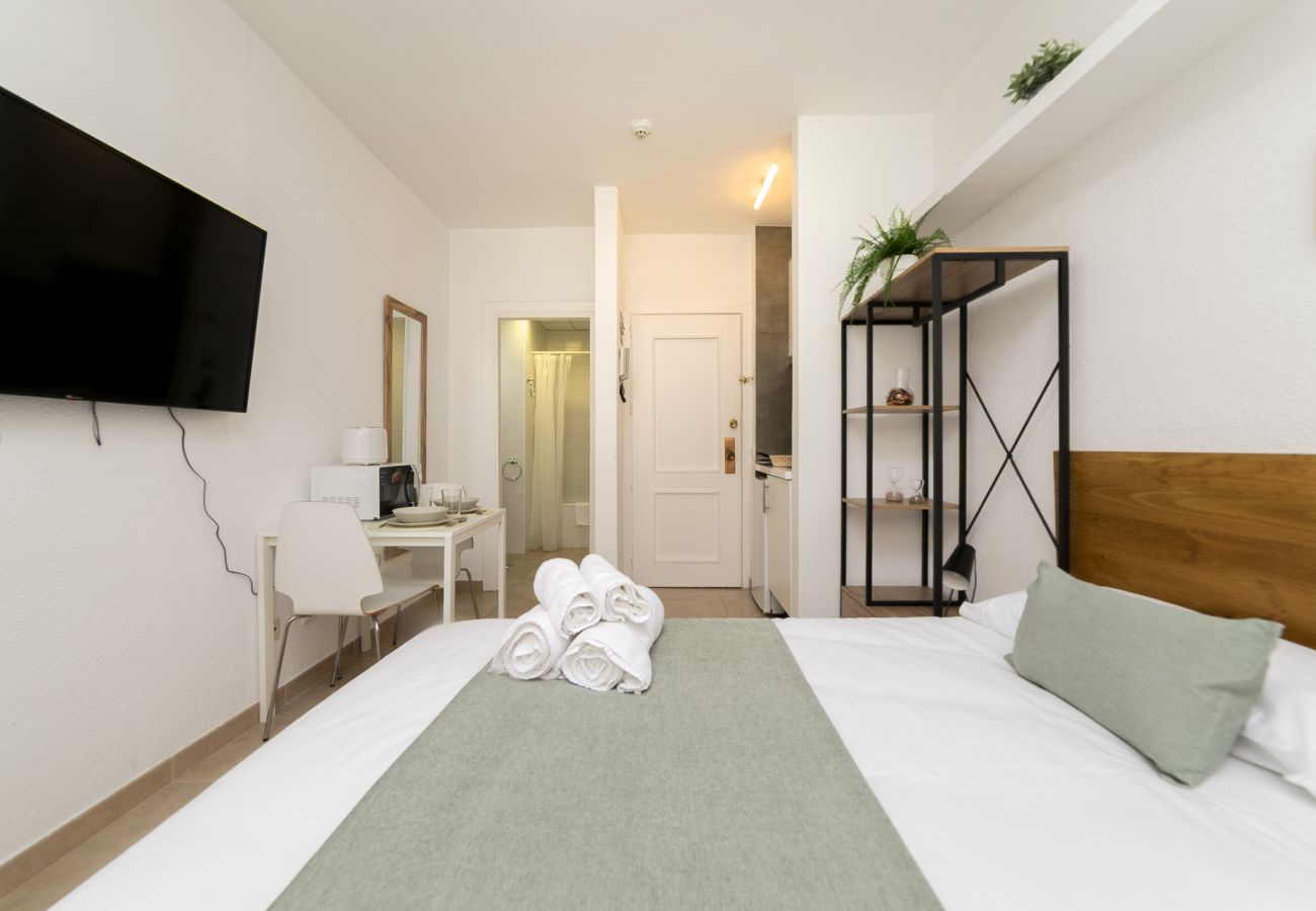 Estudio en Madrid - Classy IX - Ferga Suites