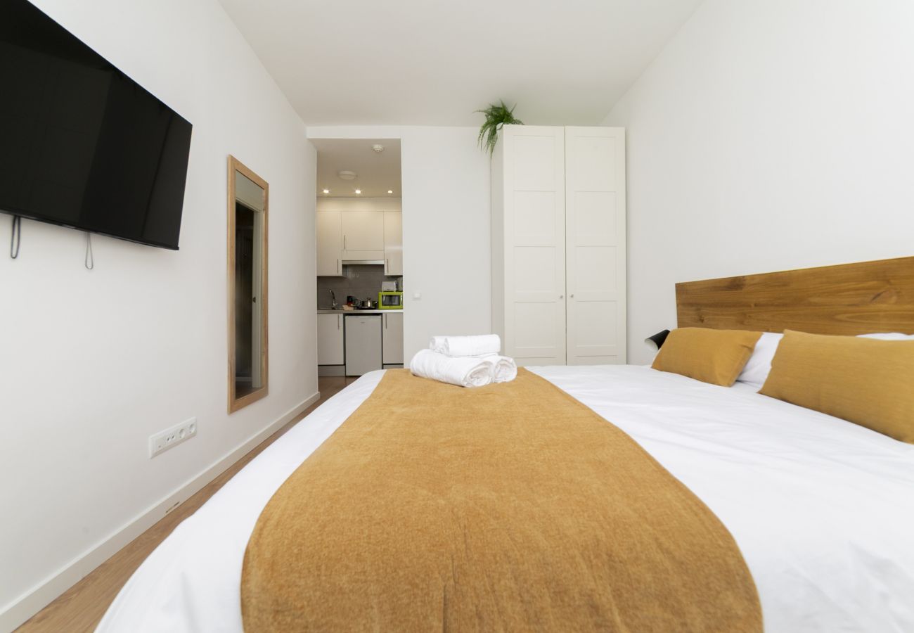Estudio en Madrid - Luxury V - Ferga Suites