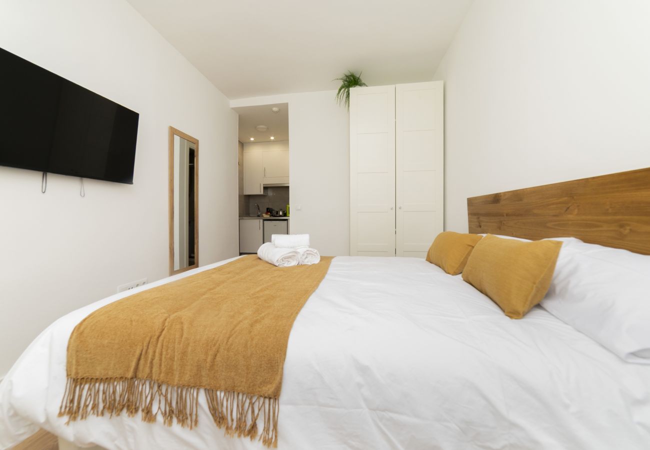 Estudio en Madrid - Luxury V - Ferga Suites