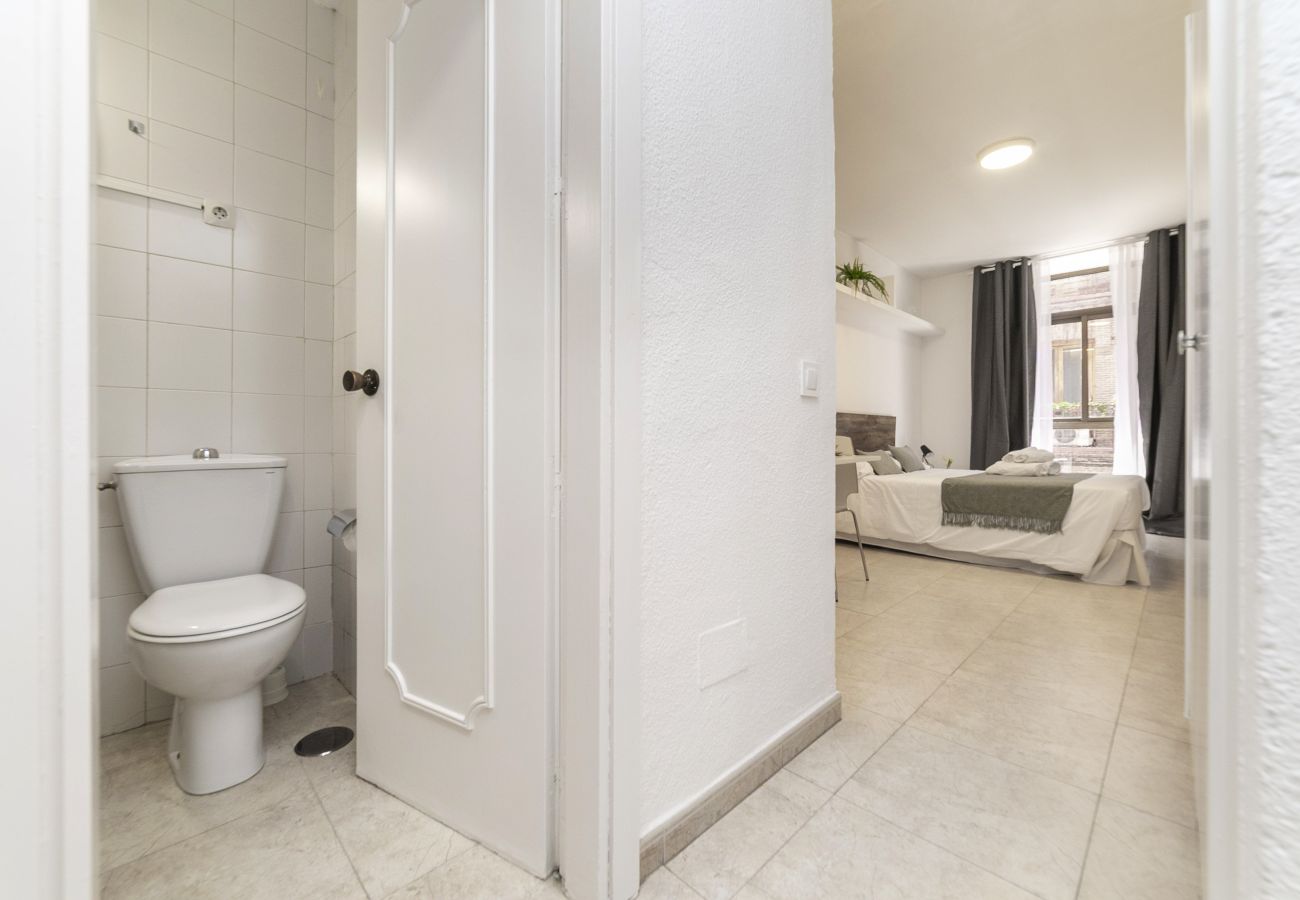 Estudio en Madrid - Classy IV - Ferga Suites