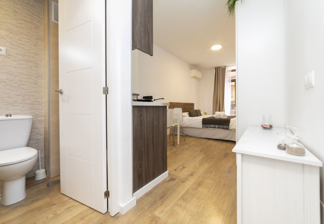 Estudio en Madrid - Luxury XIII - Ferga Suites