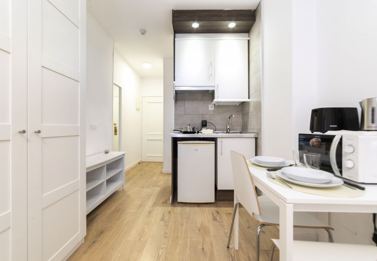 Estudio en Madrid - Luxury XIII - Ferga Suites