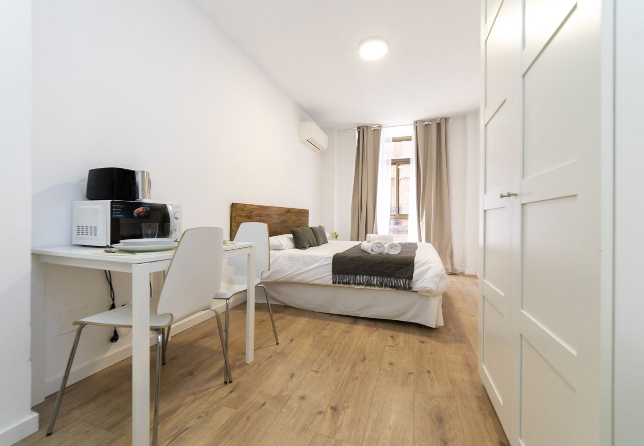 Estudio en Madrid - Luxury XIII - Ferga Suites
