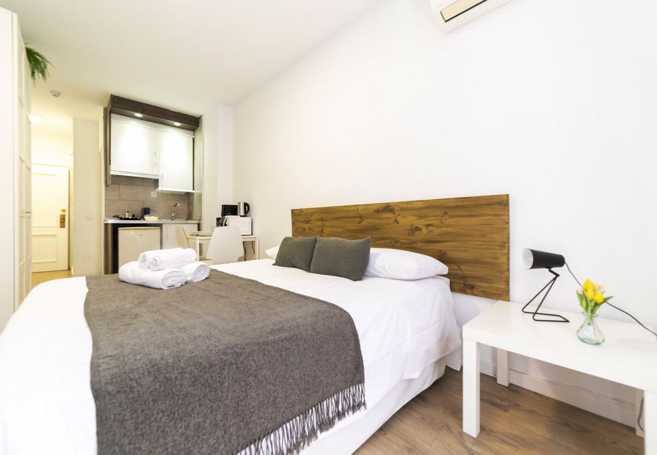 Estudio en Madrid - Luxury XIII - Ferga Suites
