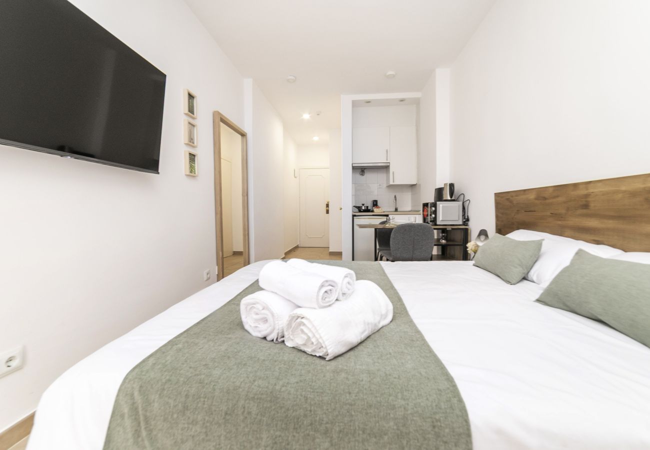 Estudio en Madrid - Luxury IX - Ferga Suites 
