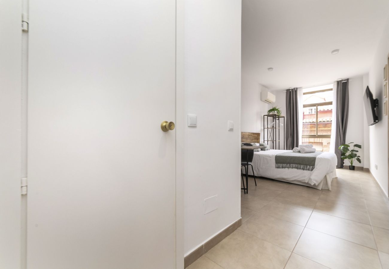 Estudio en Madrid - Luxury IX - Ferga Suites 