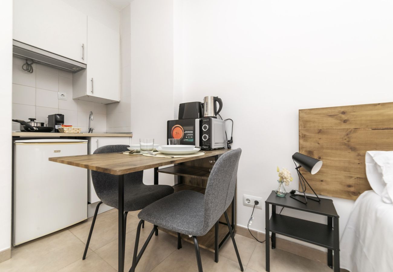 Estudio en Madrid - Luxury IX - Ferga Suites 