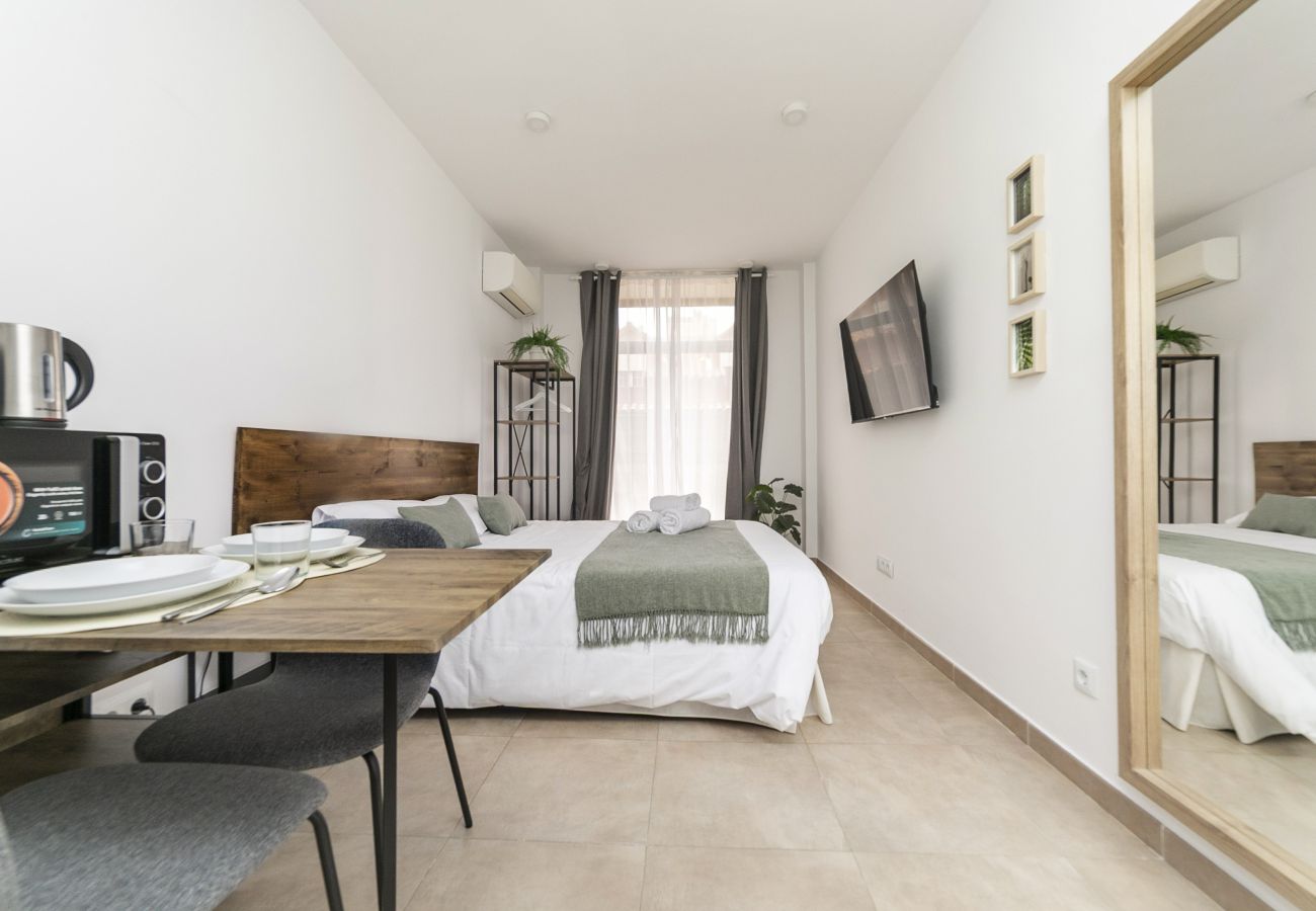 Estudio en Madrid - Luxury IX - Ferga Suites 
