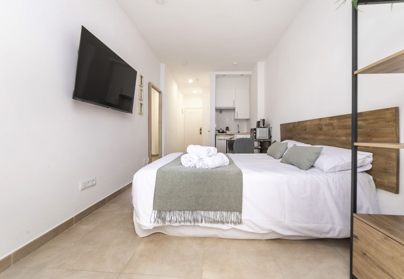 Estudio en Madrid - Luxury IX - Ferga Suites 