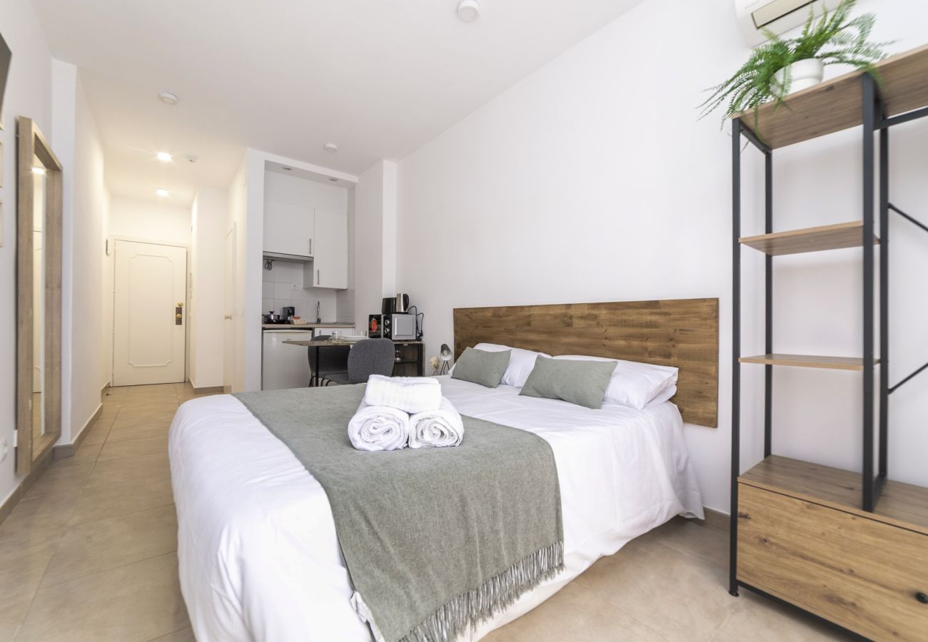 Estudio en Madrid - Luxury IX - Ferga Suites 