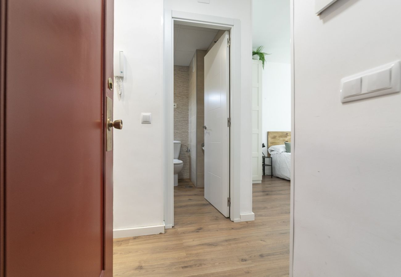 Estudio en Madrid - Classy III - Ferga Suites 