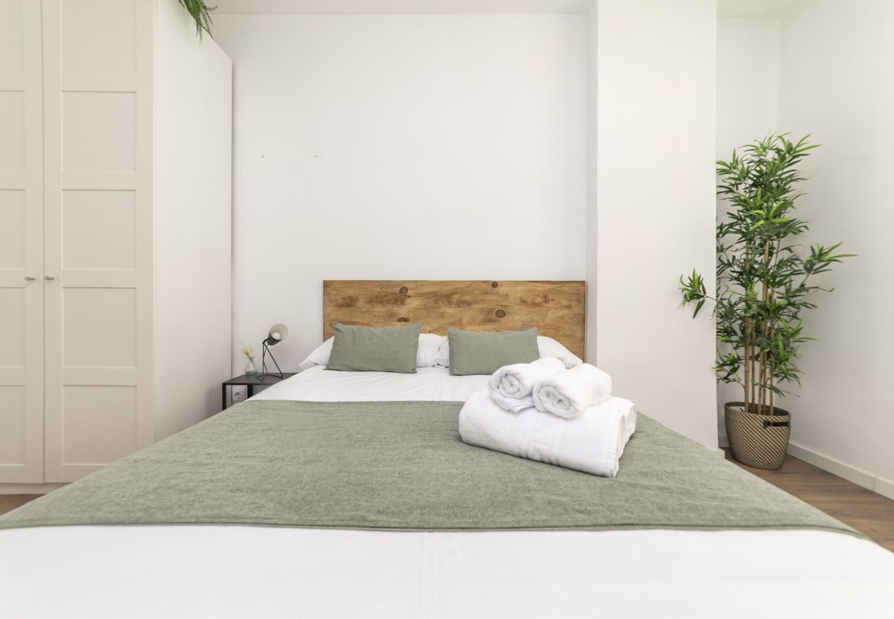 Estudio en Madrid - Classy III - Ferga Suites 