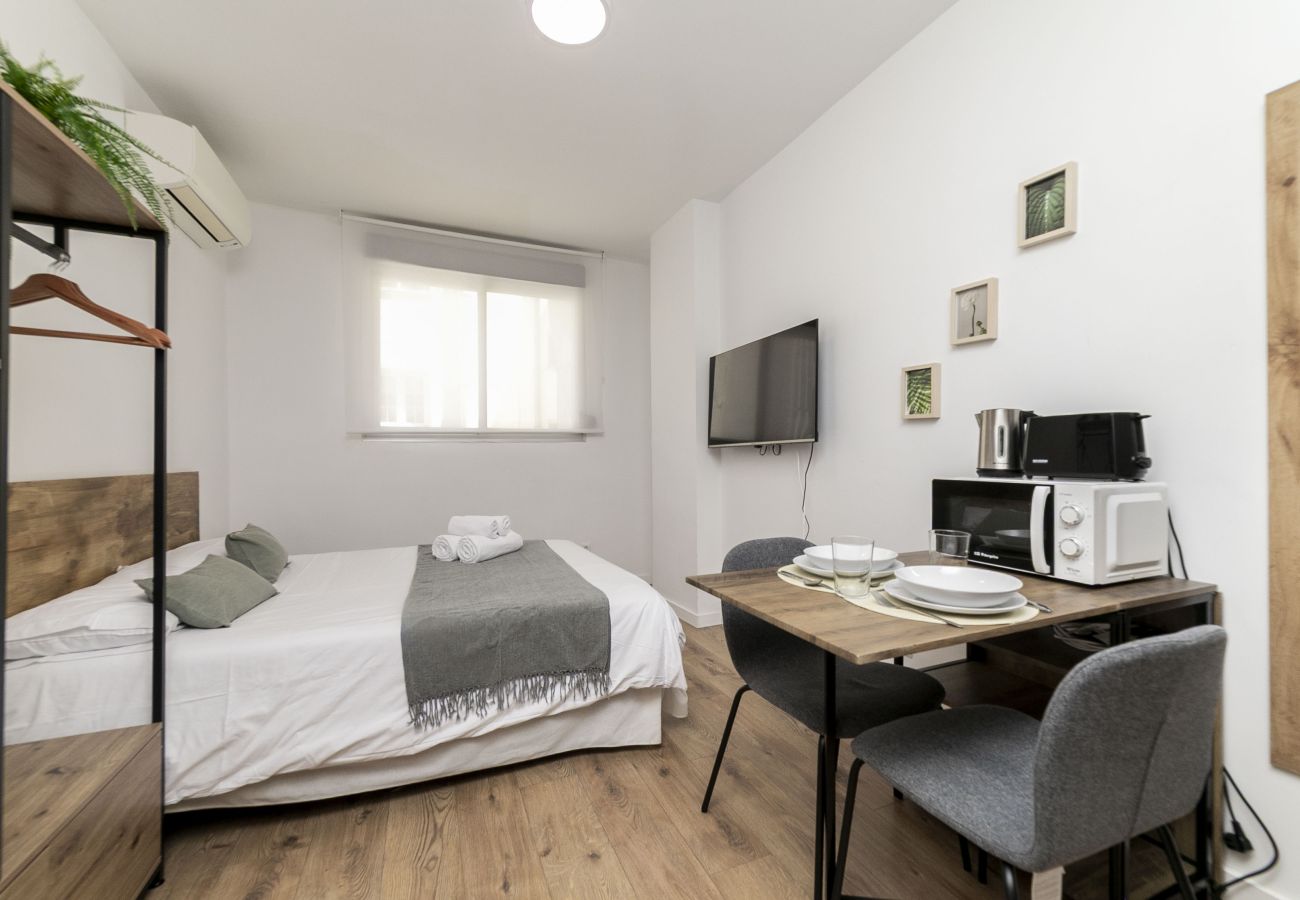Estudio en Madrid - Classy V - Ferga Suites