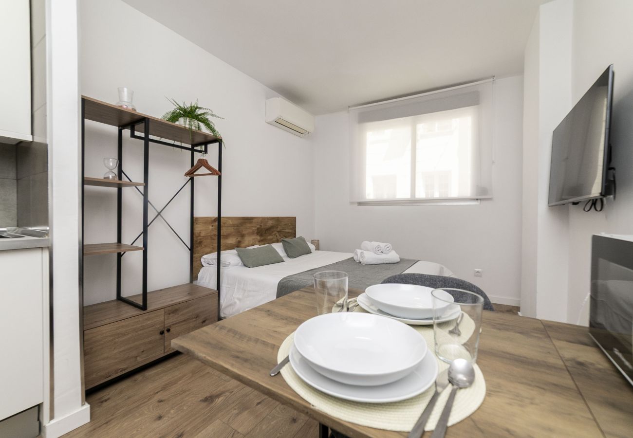 Estudio en Madrid - Classy V - Ferga Suites