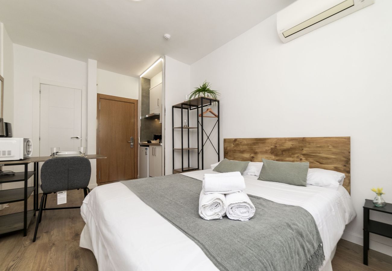 Estudio en Madrid - Classy V - Ferga Suites