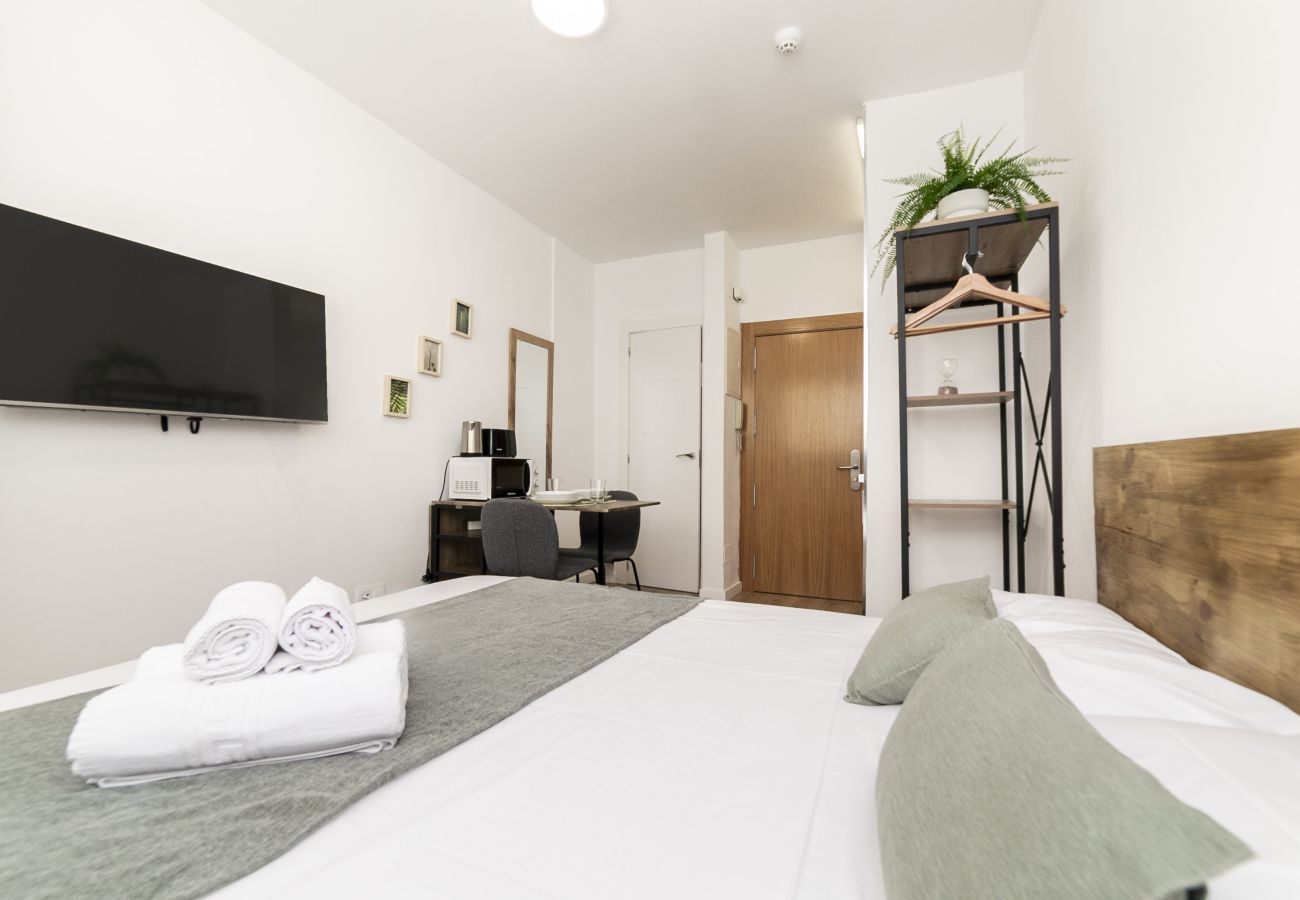 Estudio en Madrid - Classy V - Ferga Suites