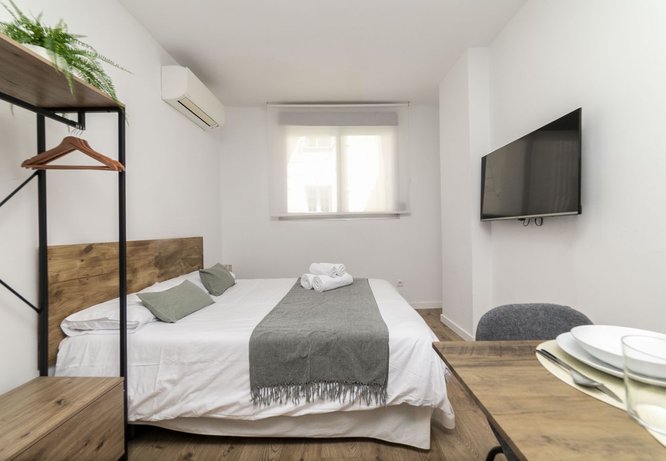 Estudio en Madrid - Classy V - Ferga Suites