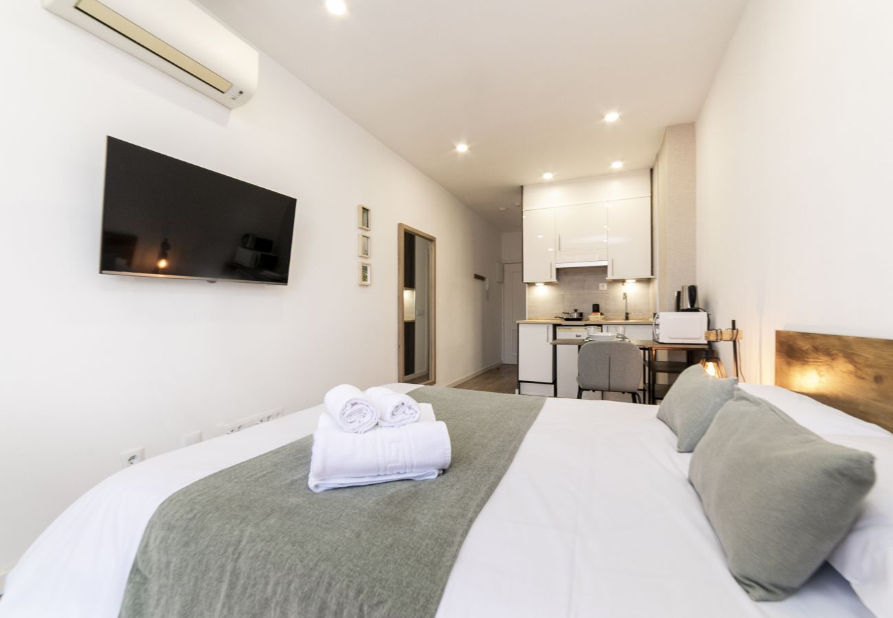 Estudio en Madrid - Luxury XIV - Ferga Suites 