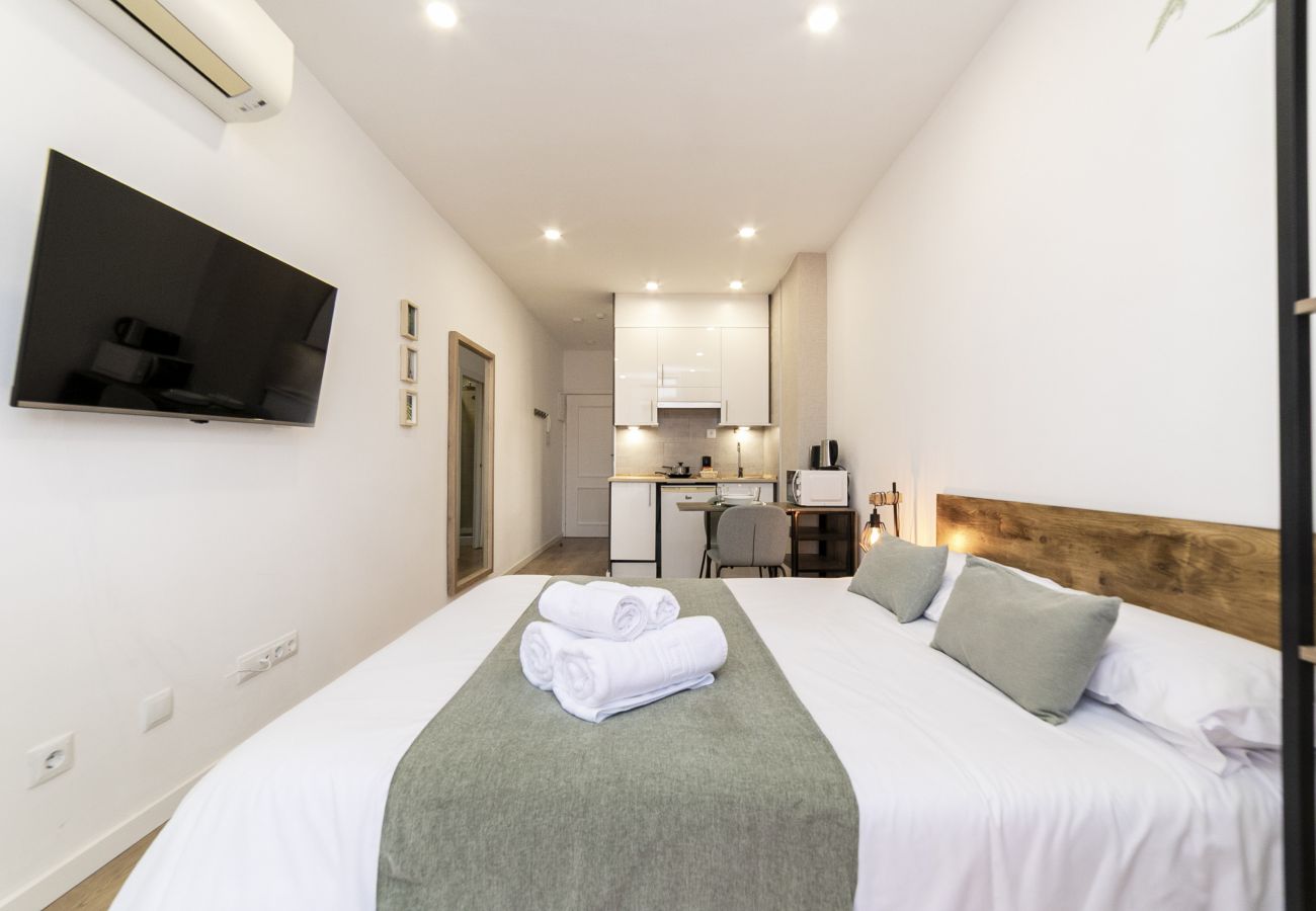 Estudio en Madrid - Luxury XIV - Ferga Suites 