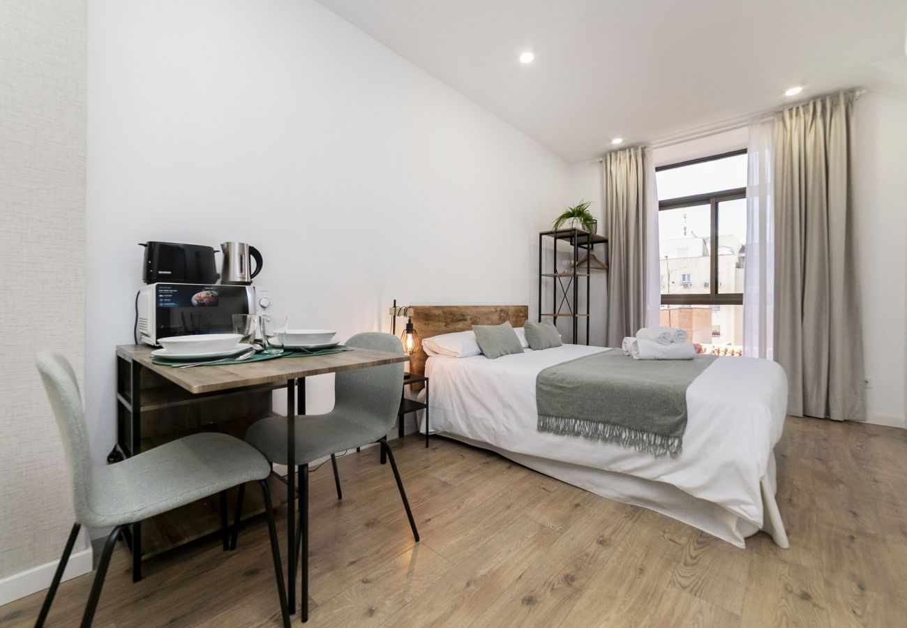 Estudio en Madrid - Luxury XIV - Ferga Suites 
