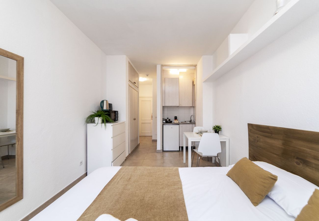 Estudio en Madrid - Classy XIII - Ferga Suites