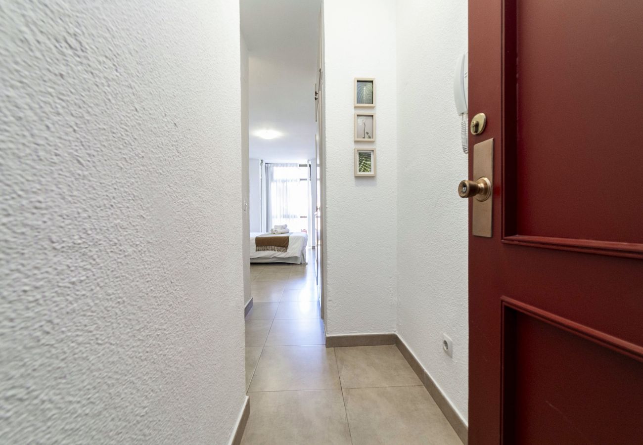 Estudio en Madrid - Classy XIII - Ferga Suites