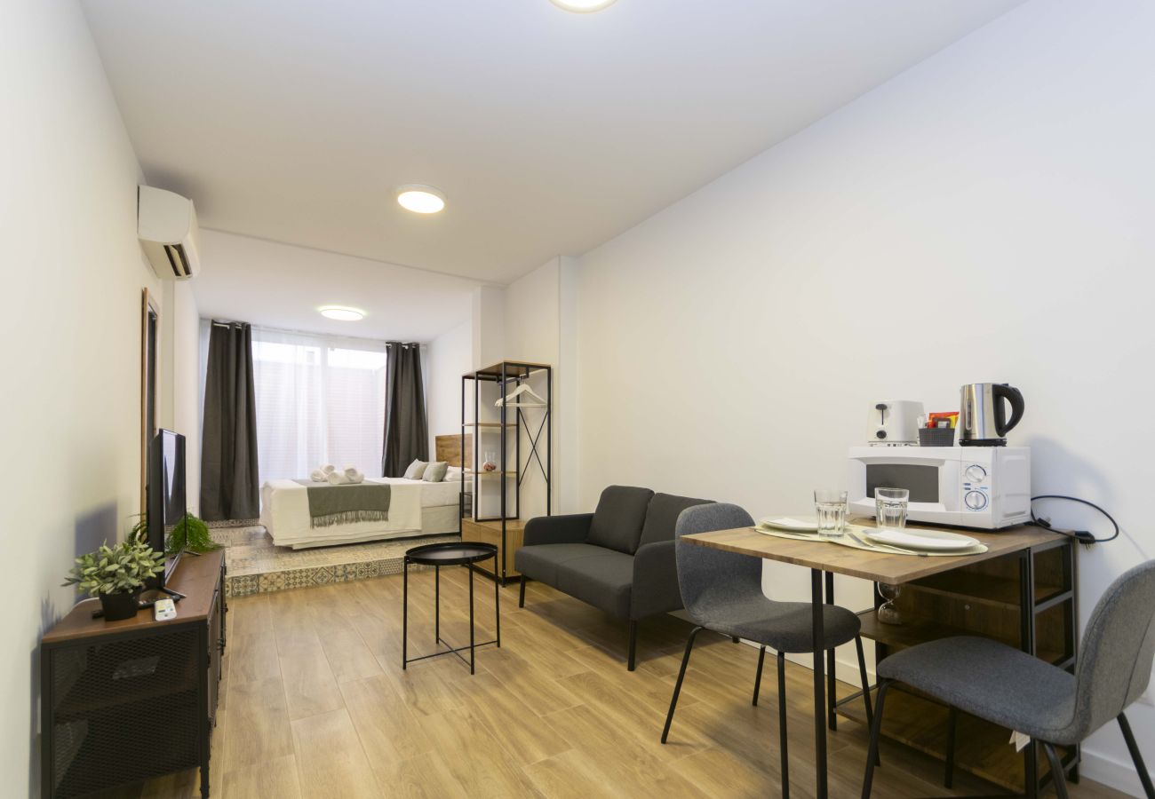 Estudio en Madrid - Regency IV - Ferga Suites