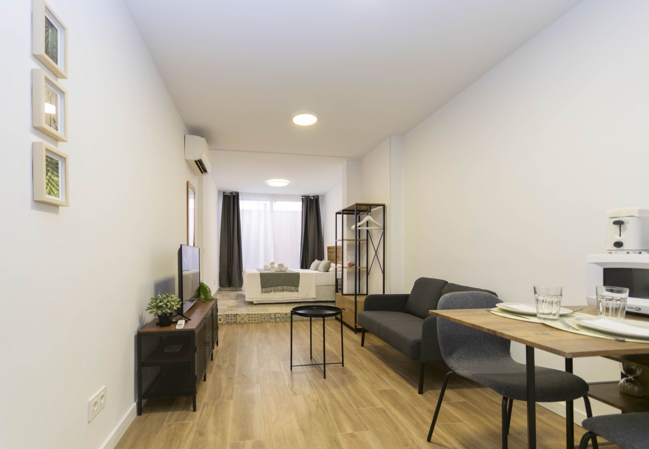 Estudio en Madrid - Regency IV - Ferga Suites