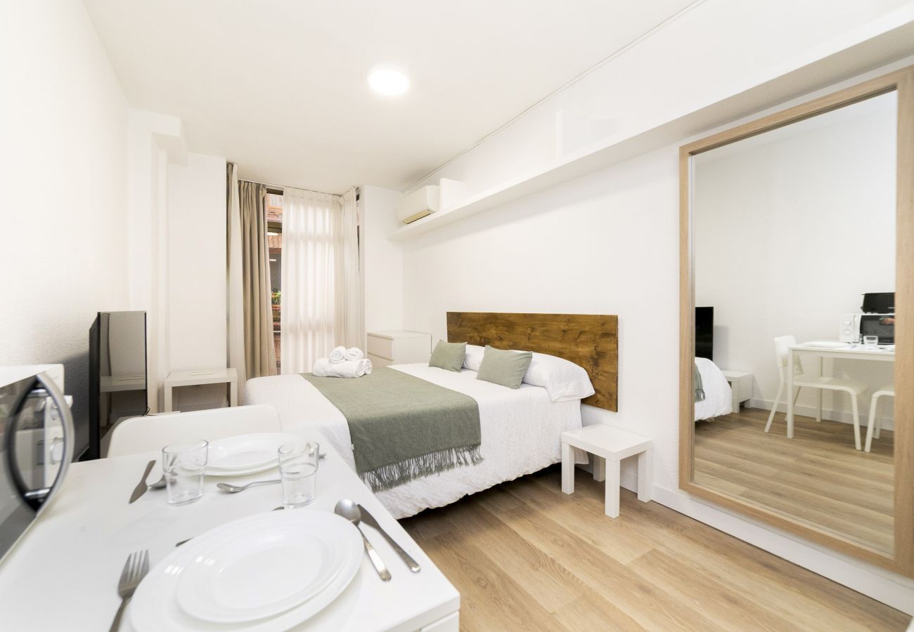 Studio in Madrid - Luxury XV - Ferga Suites