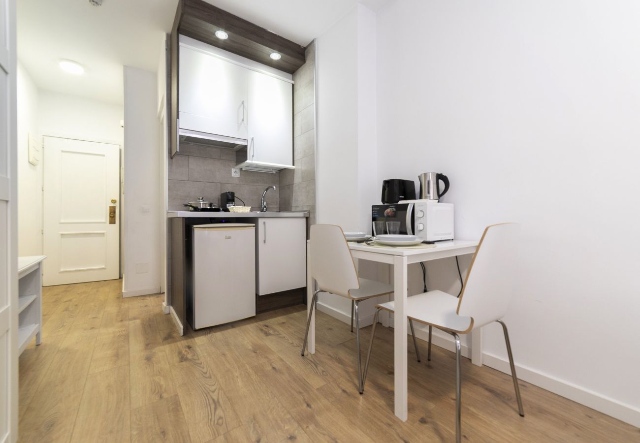 Studio in Madrid - Luxury XIII - Ferga Suites