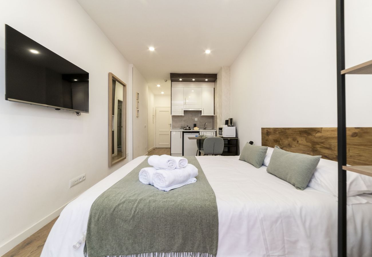 Studio in Madrid - Deluxe III - Ferga Suites