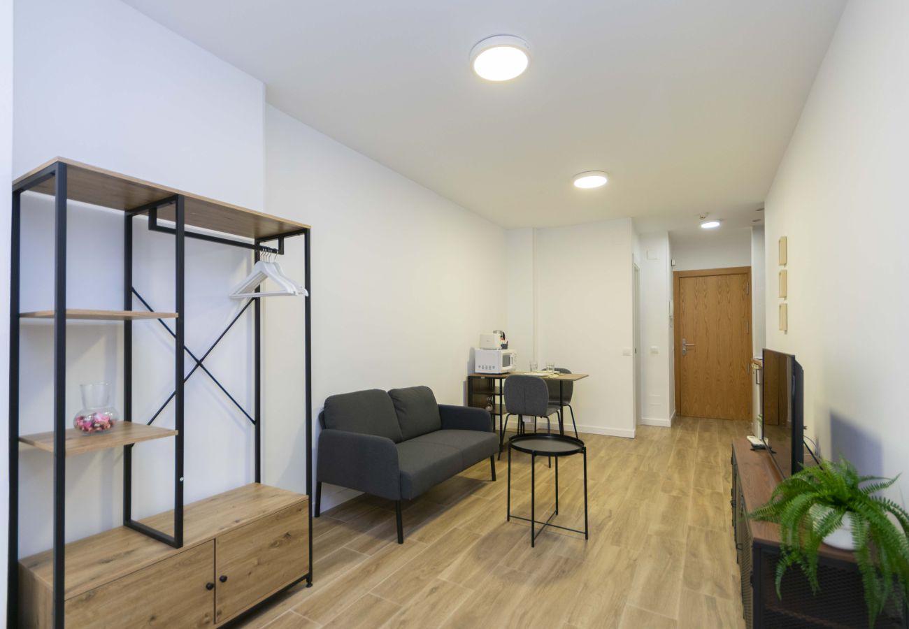 Studio in Madrid - Regency IV - Ferga Suites