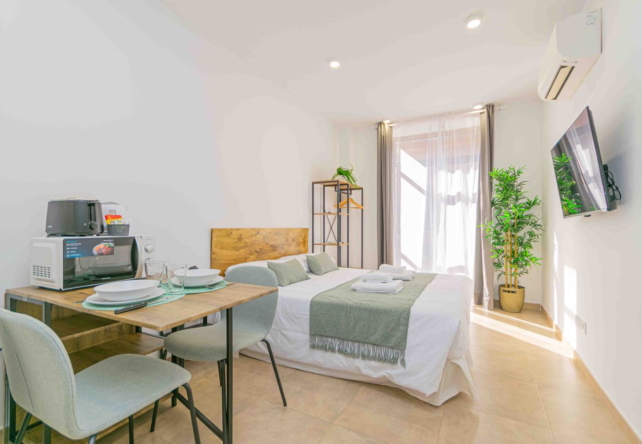 Studio in Madrid - Deluxe II -Ferga Suites