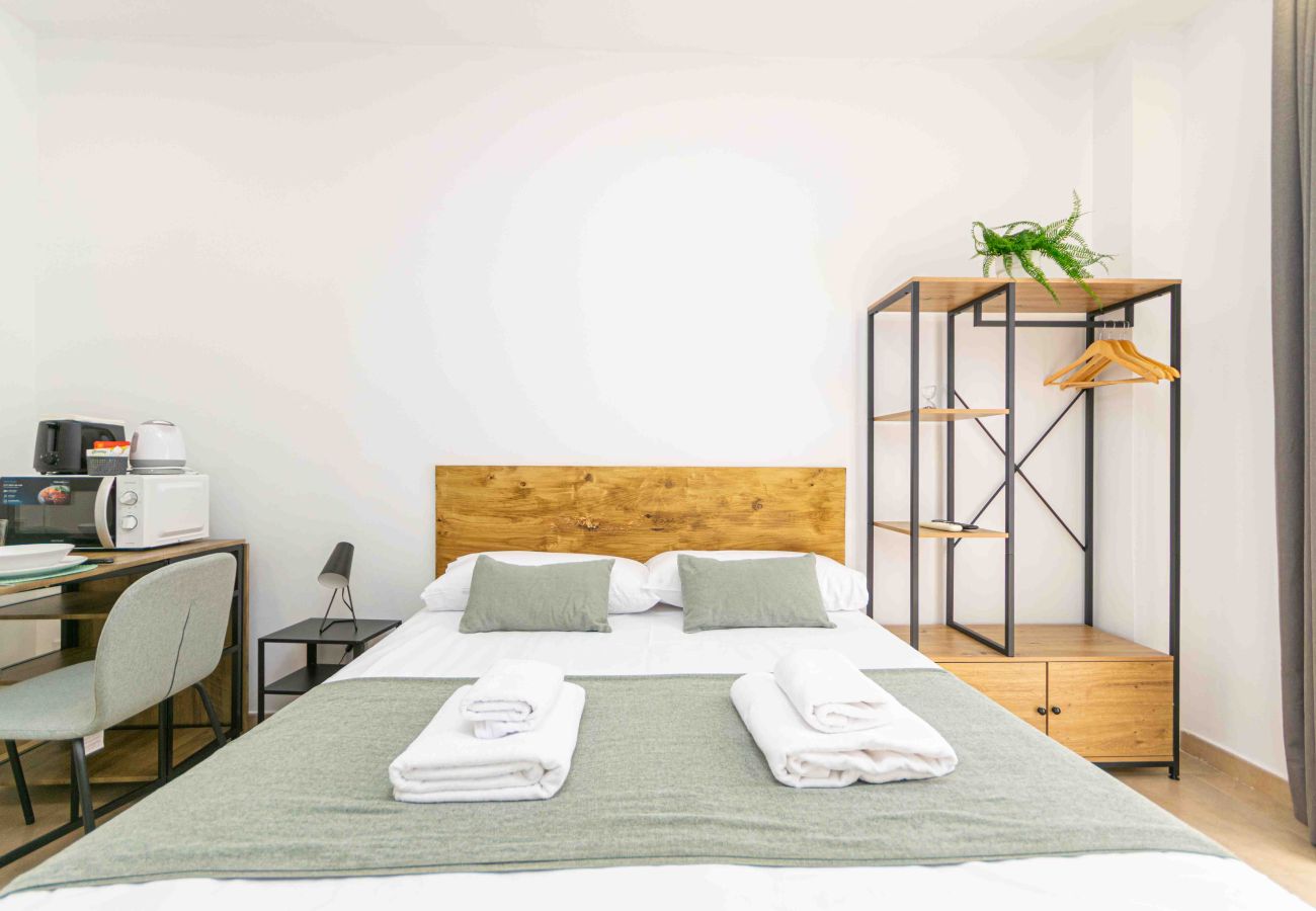 Studio in Madrid - Deluxe II -Ferga Suites